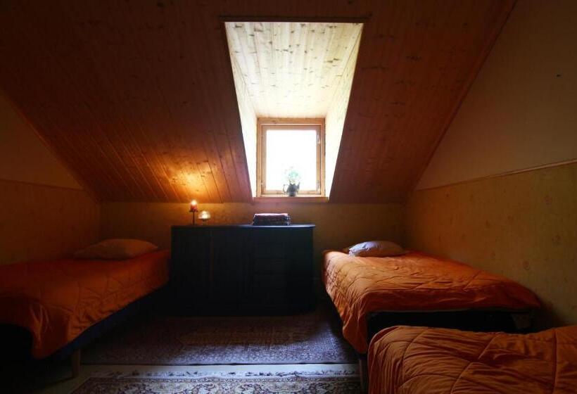 ペンション Naissaare Guesthouse Külalistemaja