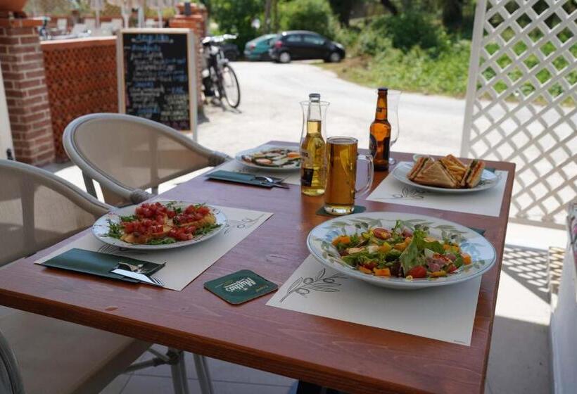 Отель Angelika Elegant