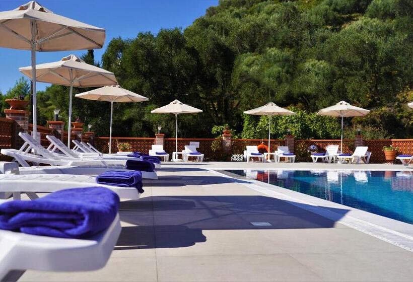 Отель Angelika Elegant