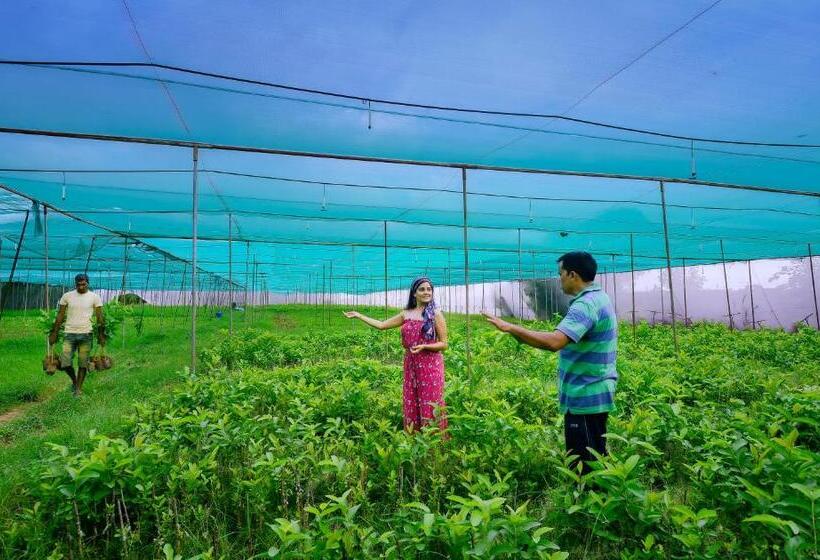 호텔 Anuraga Palace