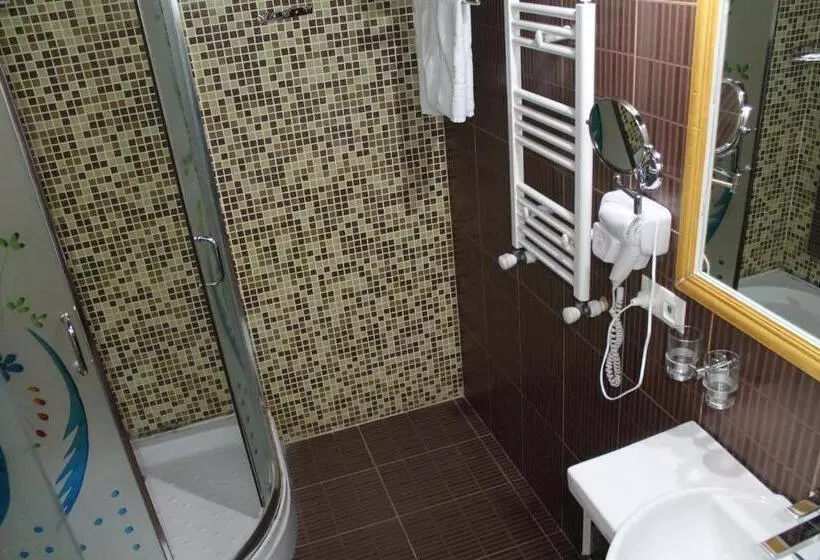 هتل Borjomi Palace Health & Spa Center