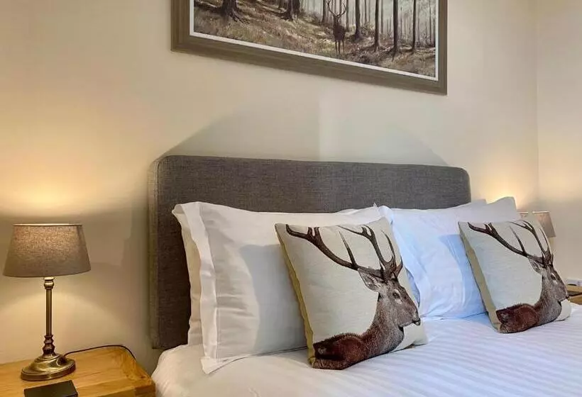 Hotel Harts Head