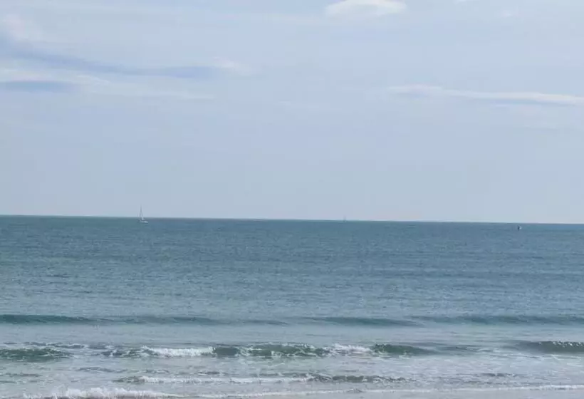 ホテル Hôtel Du Midi Plage