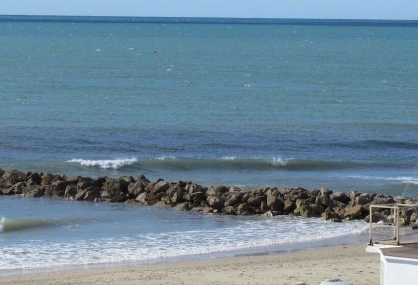 בית מלון כפרי Hôtel Du Midi Plage