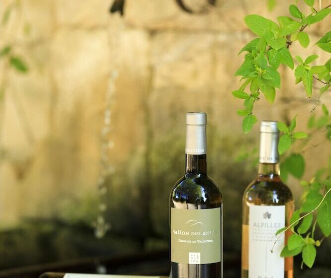 هتل Hôtel Mas Valentine