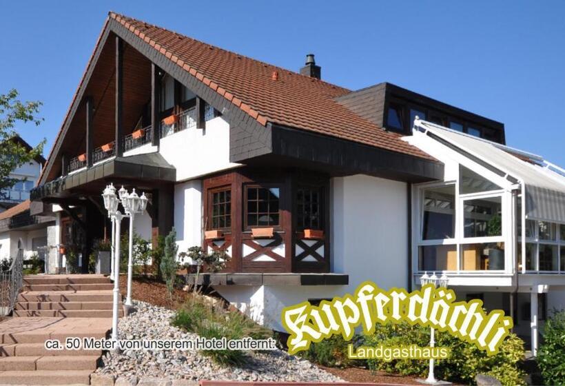 هتل Pension Jasmin