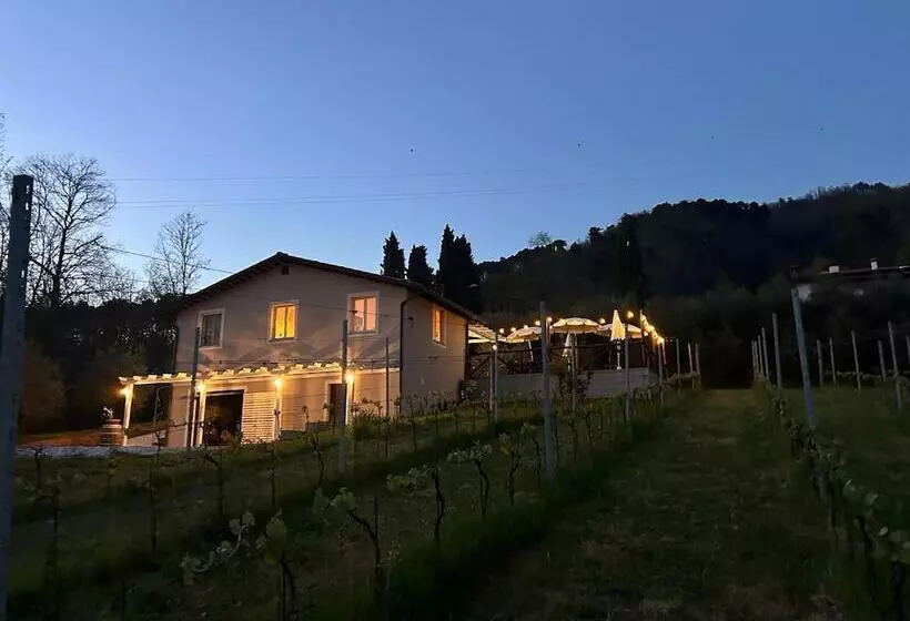 ホテル Agriturismo Tenuta La Fratta