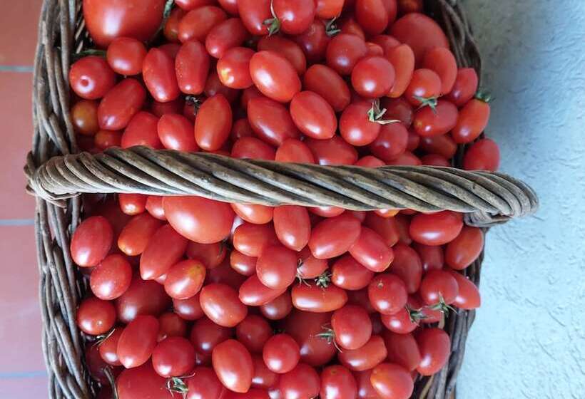 ホテル Agriturismo Tenuta La Fratta