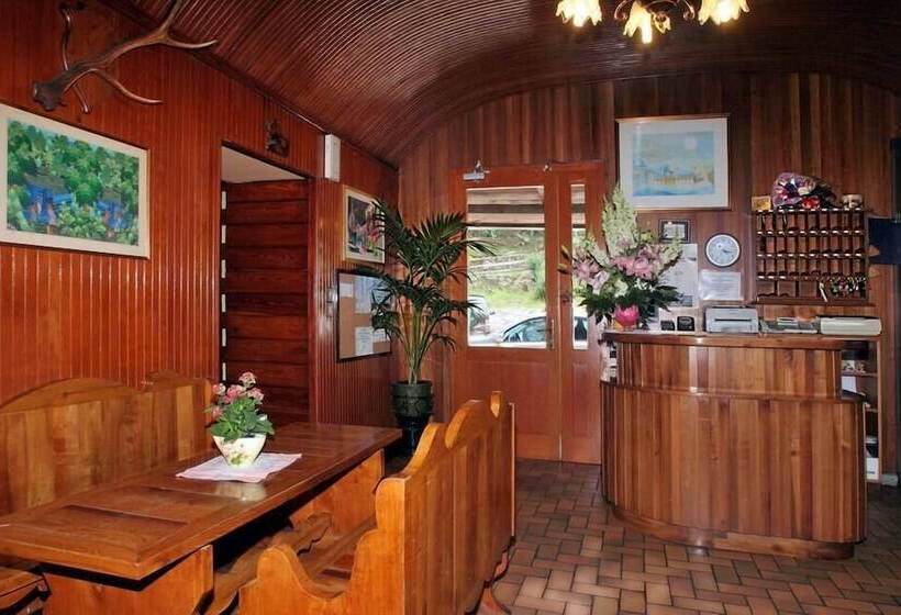 호텔 Albergo Il Castellino