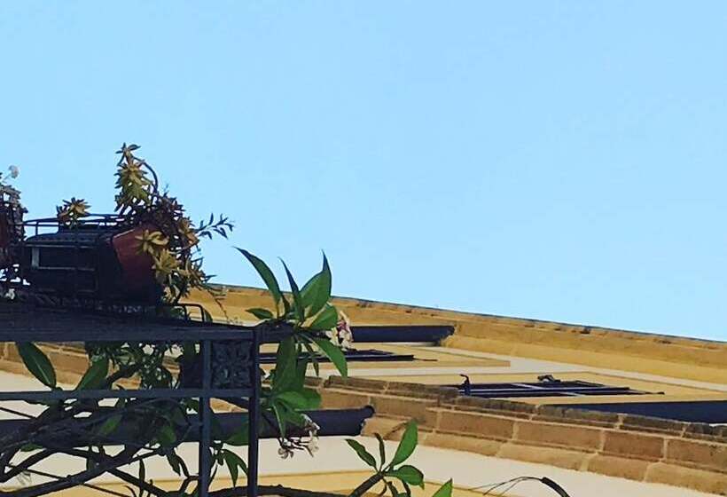 בית מלון כפרי B&b Case A San Matteo