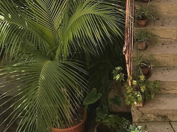 בית מלון כפרי B&b Case A San Matteo