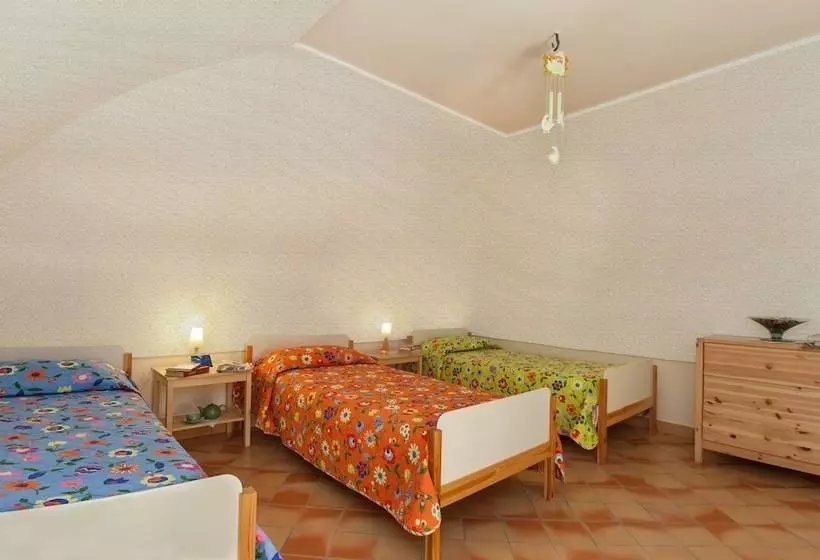 ホテル Bed And Breakfast Cassiopea