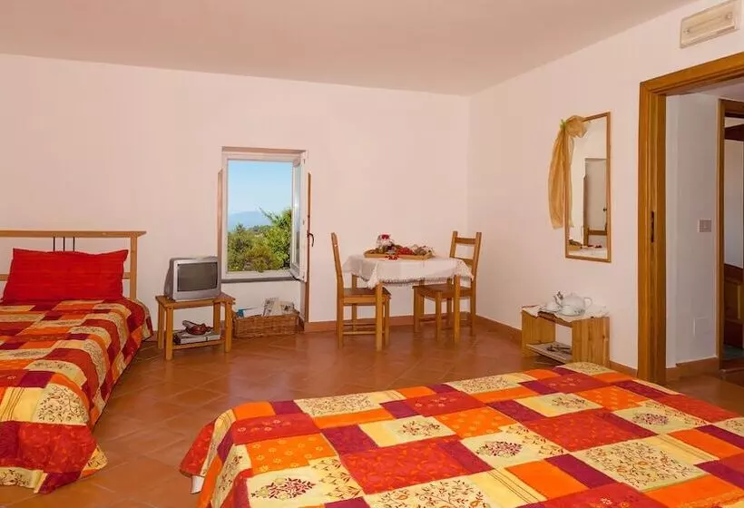 ホテル Bed And Breakfast Cassiopea