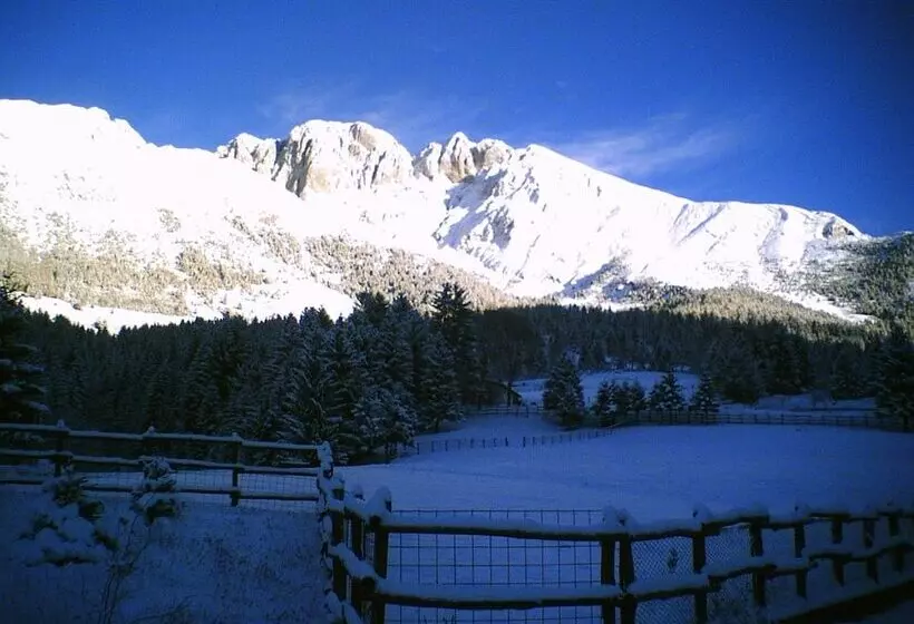 ホテル Des Alpes