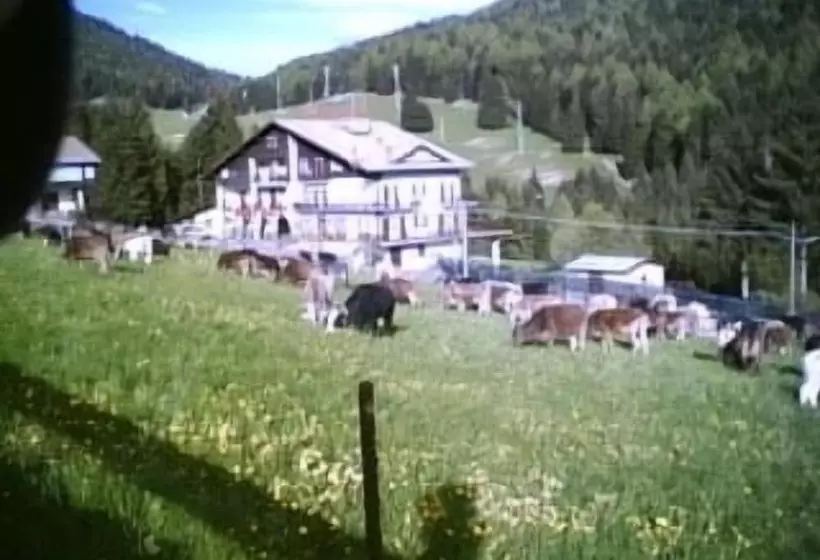 ホテル Des Alpes