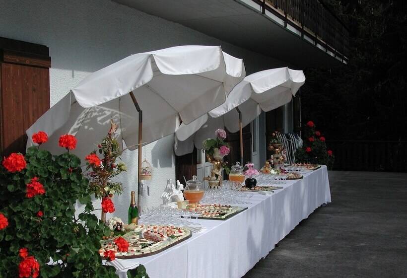 בית מלון כפרי Des Alpes