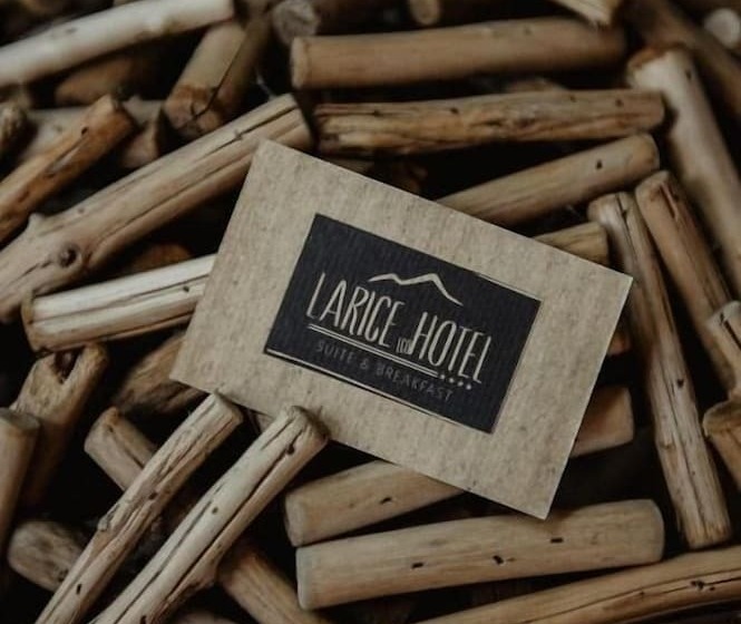 בית מלון כפרי Larice