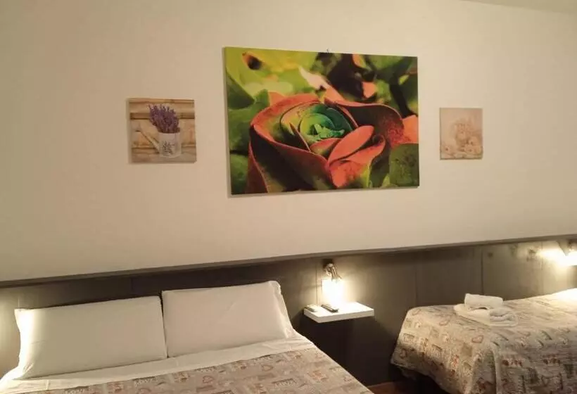 هتل Megaride Guest House