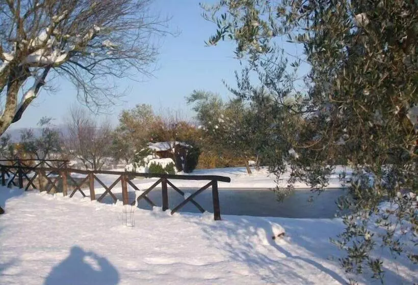 ホテル Poggio Agli Ulivi