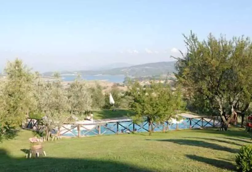ホテル Poggio Agli Ulivi