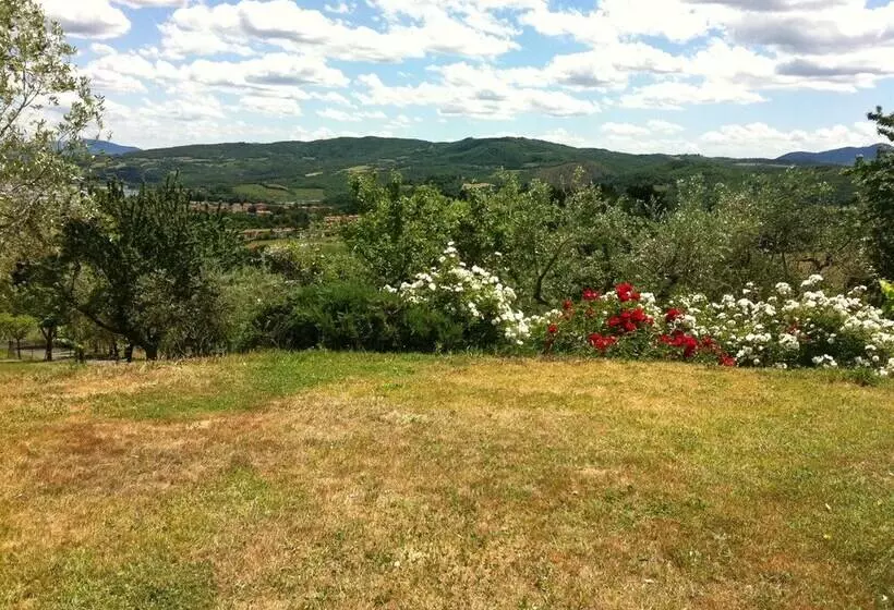 ホテル Poggio Agli Ulivi