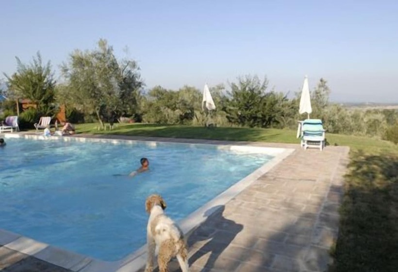 Hotel Poggio Agli Ulivi