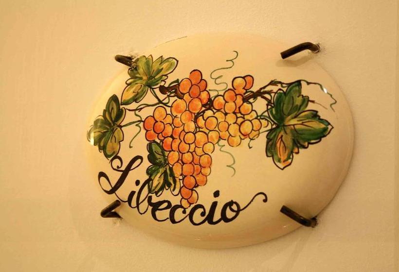 בית מלון כפרי B&b Pugliameraviglia