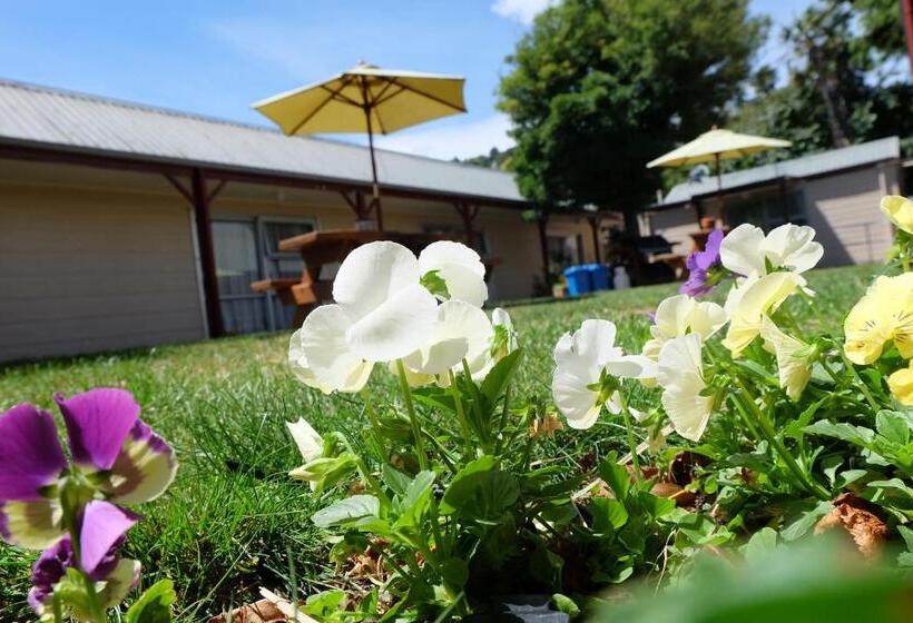 Castles Motel And Driftwood Motel