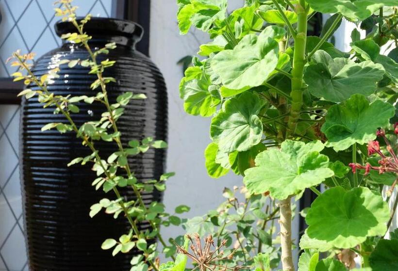 Castles Motel And Driftwood Motel