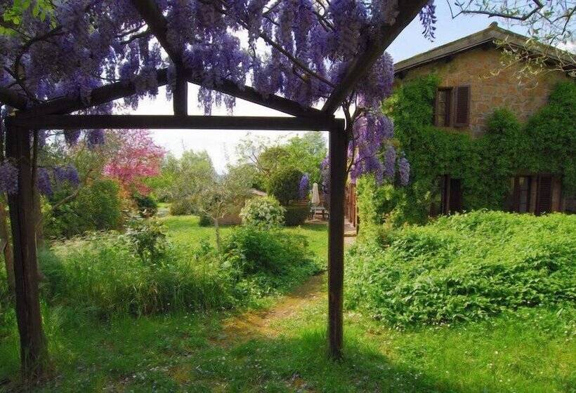 هتل B&b Casaselita