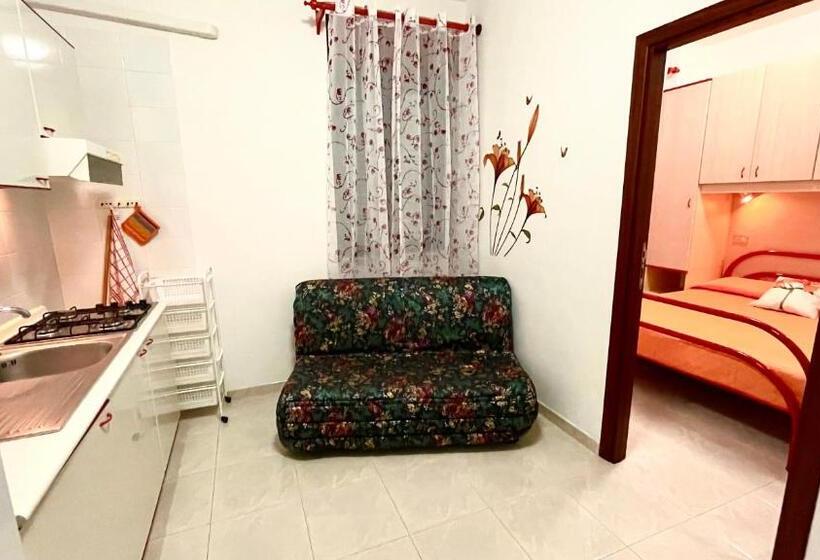 Szálloda Belvedere Home