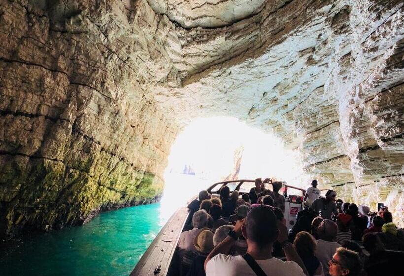 Szálloda Belvedere Home