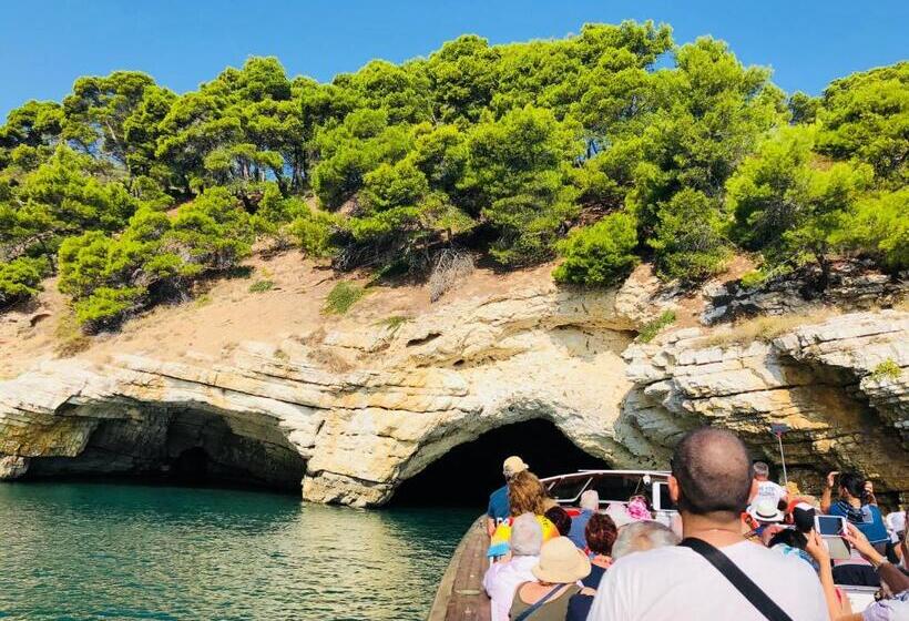 Szálloda Belvedere Home