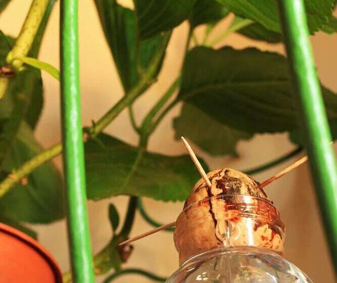 בית מלון כפרי Case D'anna