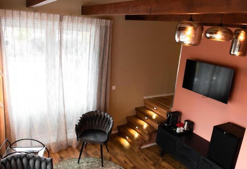 Отель Het Wapen Van Drenthe