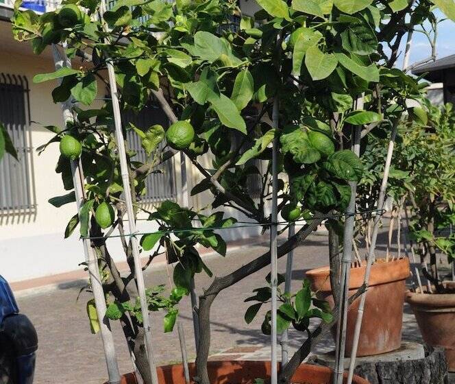 酒店 Marinetta Bed & Breakfast