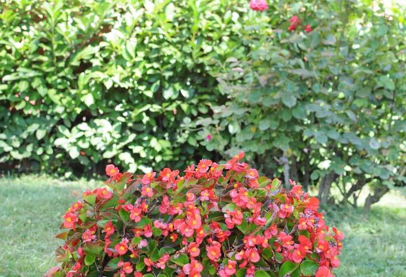 酒店 Marinetta Bed & Breakfast