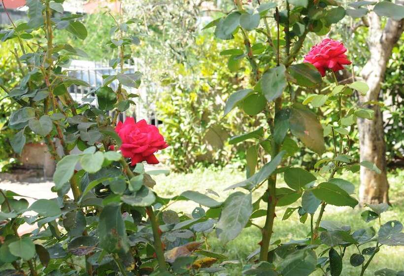 酒店 Marinetta Bed & Breakfast