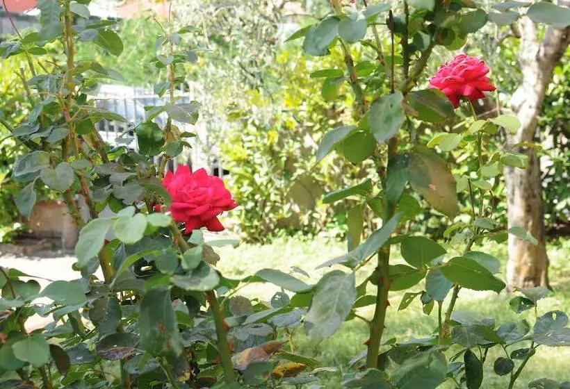 Hotelli Marinetta Bed & Breakfast