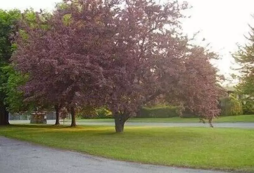 هتل Niagara On The Lake Furnished Rentals