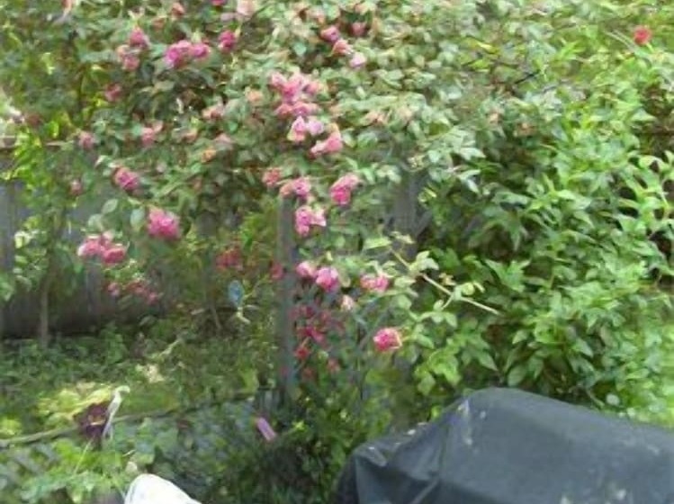 בית מלון כפרי Niagara On The Lake Furnished Rentals