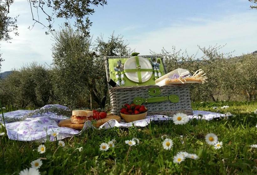 בית מלון כפרי Villa Del Pino B&b