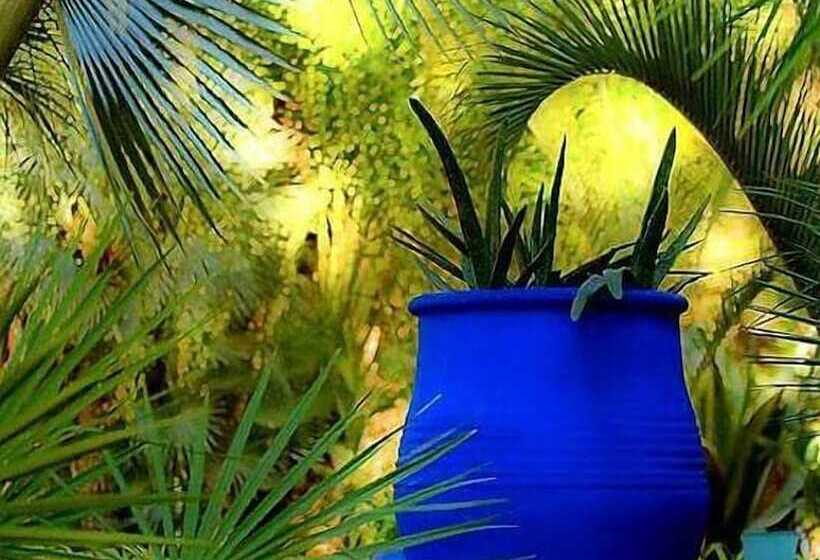 Riad Jenaï L Authentique