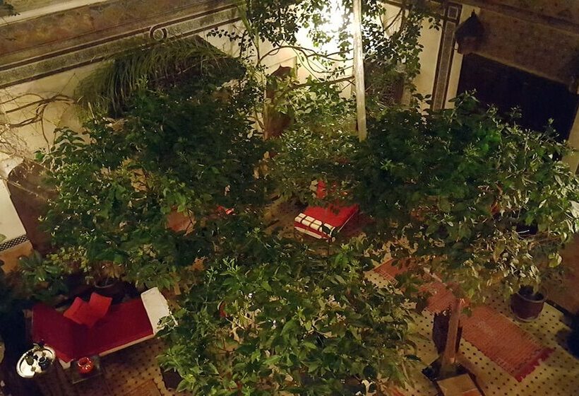 Riad Jenaï L Authentique