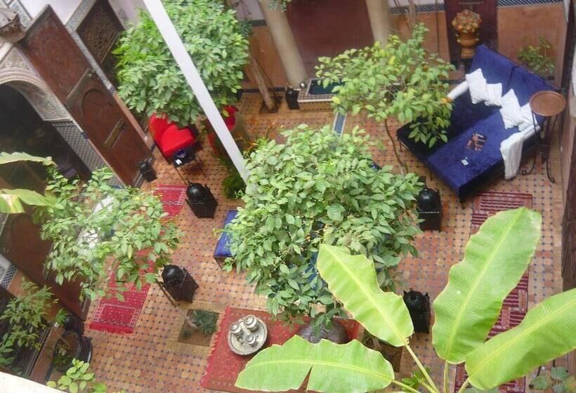 Riad Jenaï L Authentique