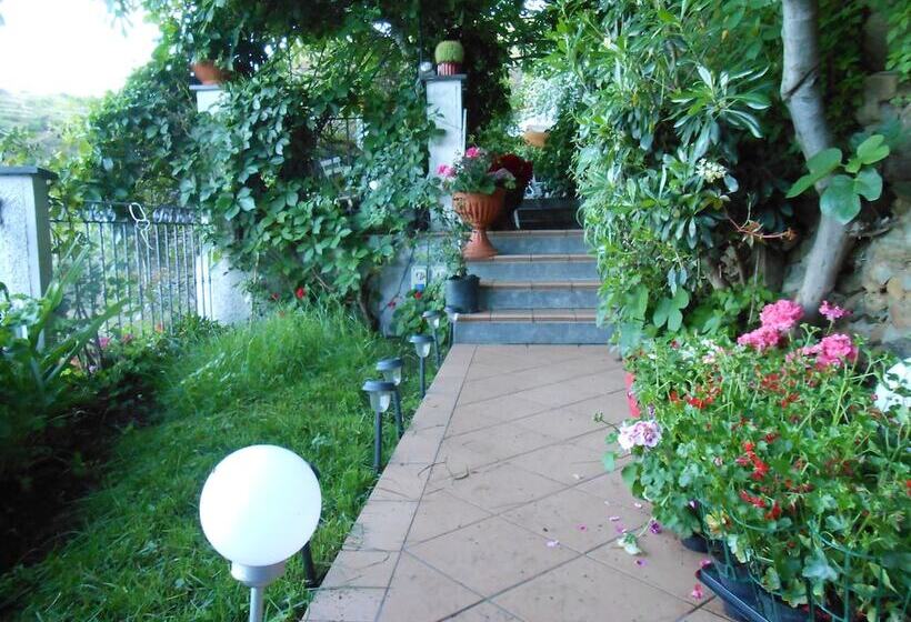 Отель Cinqueterre Holidays