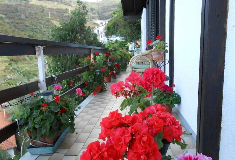 Отель Cinqueterre Holidays