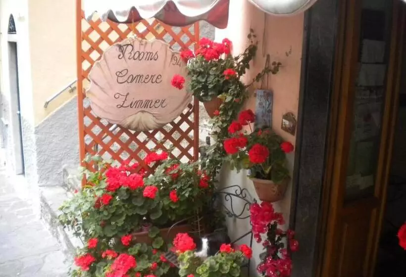 هتل Cinqueterre Holidays