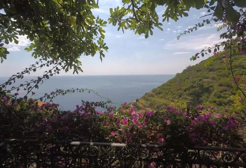 هتل Cinqueterre Holidays