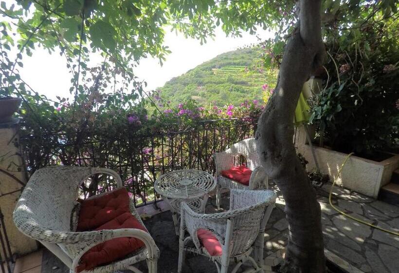 Отель Cinqueterre Holidays